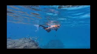 Fish Feeding in Rasdhoo 🐟 Maldives Crystal Clear Adventure