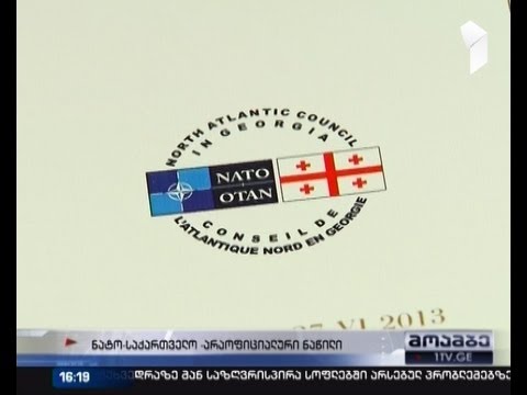 ვიზიტის არააფორმალური ნაწილი