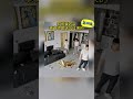 知子莫若父你老爸就是这么过来的