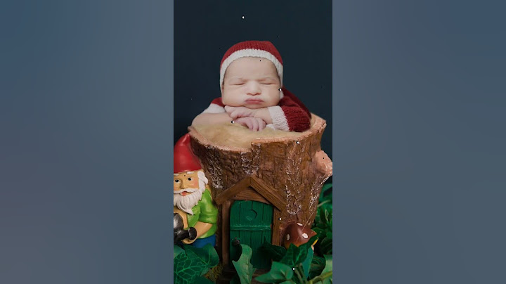 Asher's 2nd Birthday party with Malhan Family #littlestarphotography #wanderershub