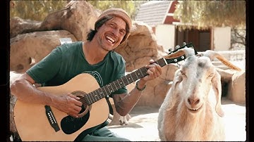 Acoustic Folk Music, Indie/Indie-Folk Music, Relaxing Chill Folk Music, A Day at The Gentle Barn