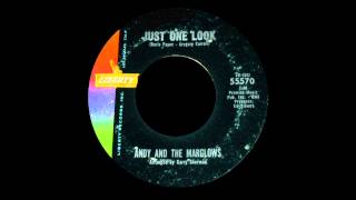 Just One Look-Andy &amp; The Marglows-1963