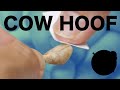"Cow Hoof" The process of making with wool felt and felters wax 羊毛フェルトとフェルターズワックスで作る牛のひづめ