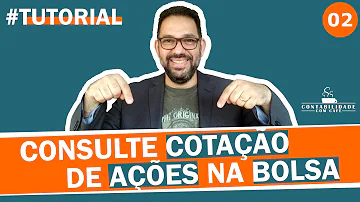 Como consultar minhas ações na bolsa de valores?