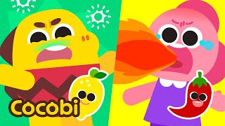 Warna & Rasa Makanan | Lagu Anak | Kids Songs | Cocobi Bahasa Indonesia