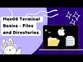 MacOS Terminal Command Line for Complete Beginners - Files and Directories
