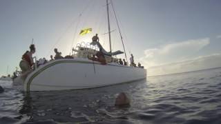GOPR3441