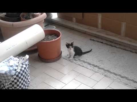 20130521154736