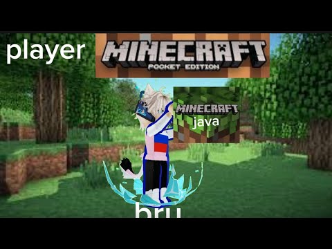 🗣🗣 MỌE TỪ BÓE ĐẾN H | mèo lửa blaze hunter