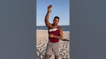 🦈How to catch a shark🦈 #fishing #shark #sharkfishing #fish #newyork #longisland #sharks #lbsf