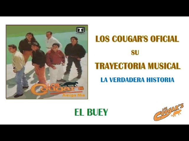Los Cougars - El Buey