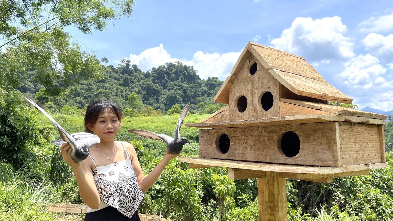 The girl lives alone in the forest, Build a bird house, build a farm ...