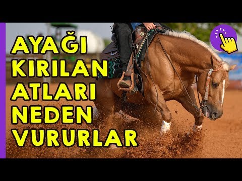 Video: Kırık Topuklar - Atlar