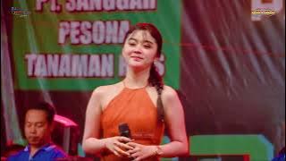 JANGAN DENDAM - TIARA AMORA NEW PALLAPA PAPAT COMMUNITY