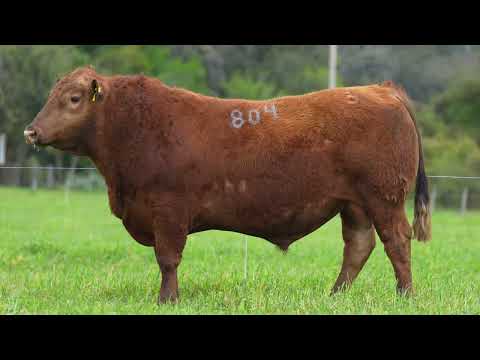 LOTE 030