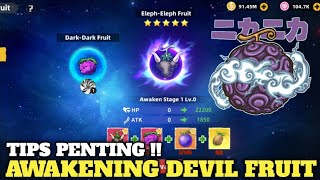 Bahas Fitur Update! Awakening Buah Iblis 🔥 OP Sailing Kingdom