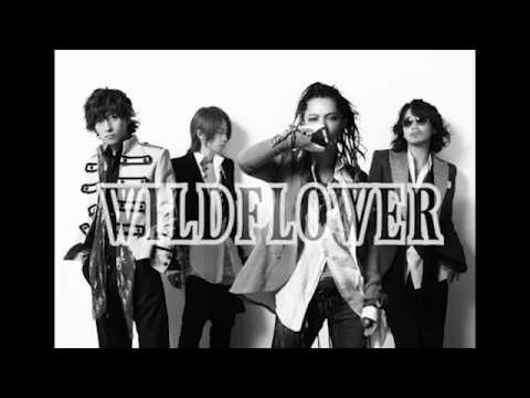 【LArc-en-Ciel】wild flower 歌ってみた 【カラオケ】