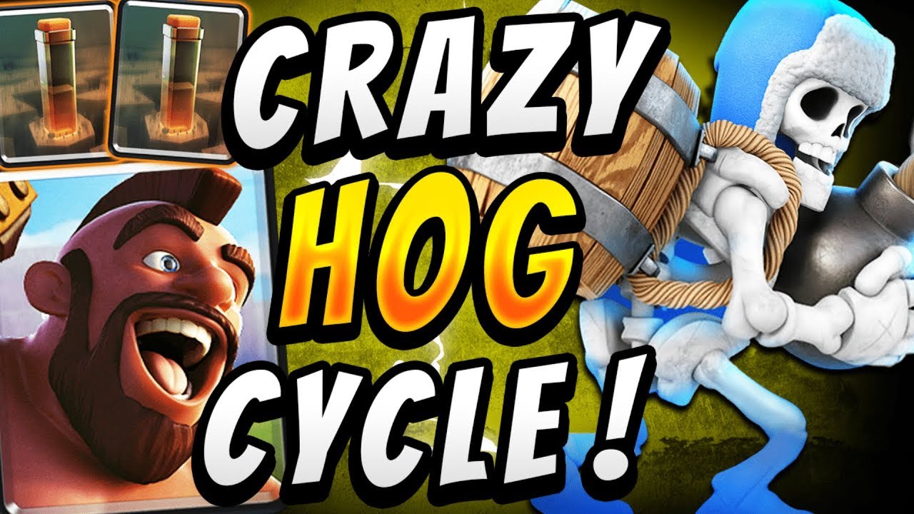 SirTagCR: WORKS IN EVERY META! BEST ROYAL HOGS DECK! — Clash Royale -  RoyaleAPI