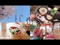 VLOG/春の浅草ひとり歩き🌸朝活,お弁当作ってピクニック,甘味処のあぶり団子𓇥 Tokyo,Asakusa/daily life in Japan.