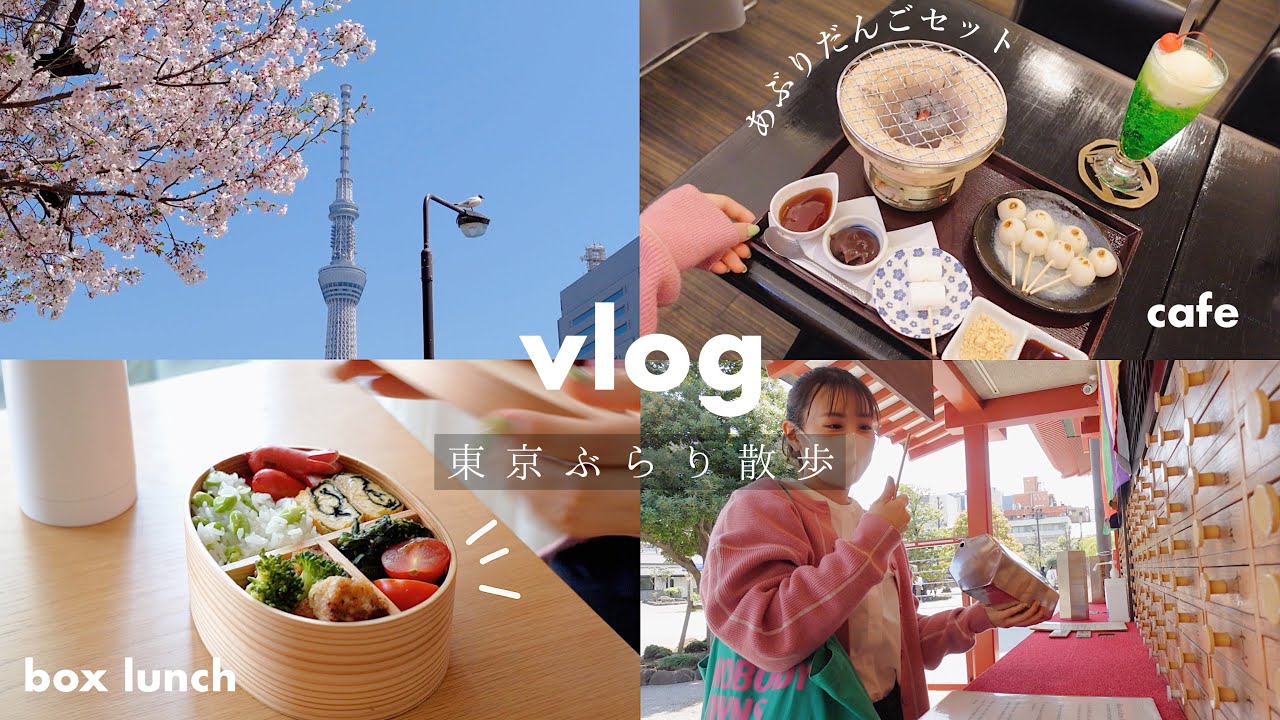VLOG/東京浅草ひとり歩き🌸朝活,お弁当作ってピクニック,甘味処のあぶり団子𓇥 Tokyo,Asakusa/daily life in Japan