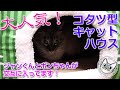 我が家の猫に大人気！コタツ型キャットハウス＆ベッド【Jean & Pont 2268】2020/10/8 #保護猫 #凶暴から甘えん坊へ