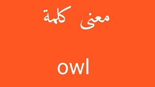 معنى كلمة owl