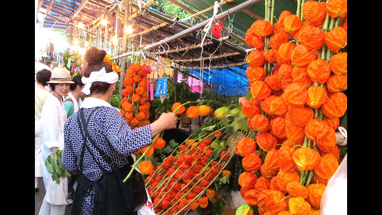 浅草 ほおずき市 Tokyo Japan Chinese Lantern Plant Fair 東京観光 旅行 東京の夏 思い出 浅草寺 風物詩 夏の風景 Youtube