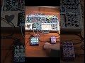 algorithmic slop saturdays // 007 - evil metallic pings (pt. 2)  #eurorack #experimentalmusic #synth