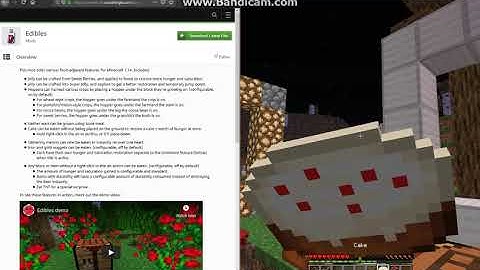 Edibles/Epicurean Gastronomy 1.0.0 19w05a 1.14 Snapshot Fabric Mod Overview