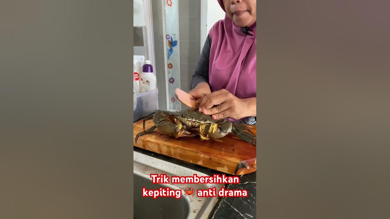 Trik membersihkan kepiting anti drama #kepiting #trimmasakkepiting