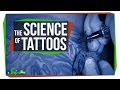 The Science of Getting (and Getting Rid of) a Tattoo