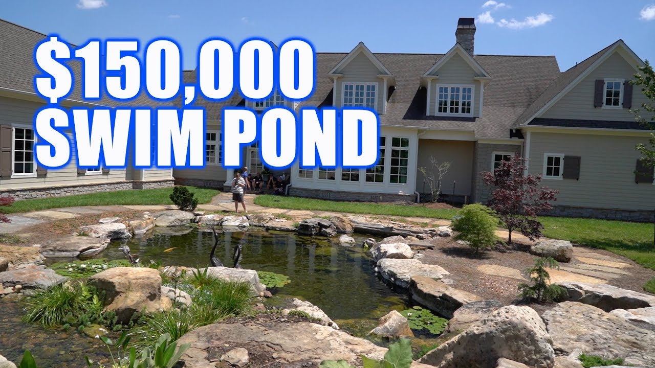 Can You Swim in a Koi Pond? Dive into the Facts!