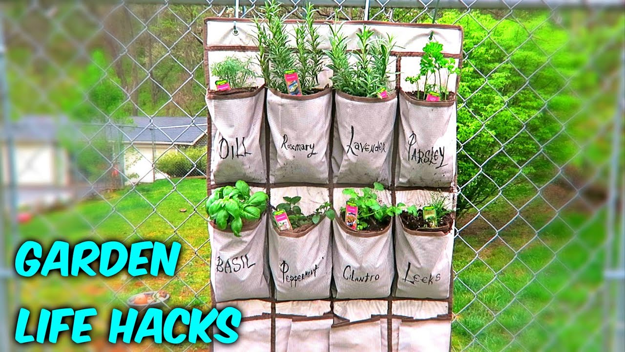 6 Gardening Life Hacks Earth Day Special You