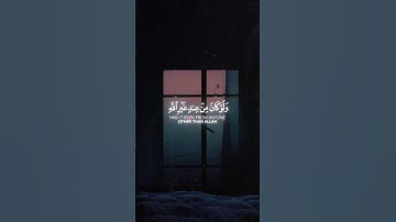 قران كريم بصوت جميل #foryou #اكسبلور #اكسبلورفولو #tiktok #حالاتواتس #حالات_واتس #فولو #اكسبلورر