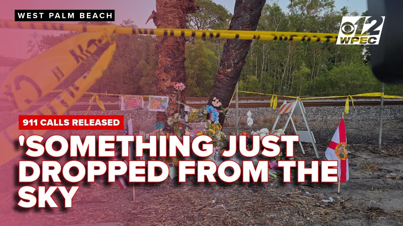 'Something just dropped from the sky': 911 calls released in fatal Boca ...