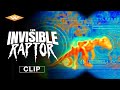 Clip