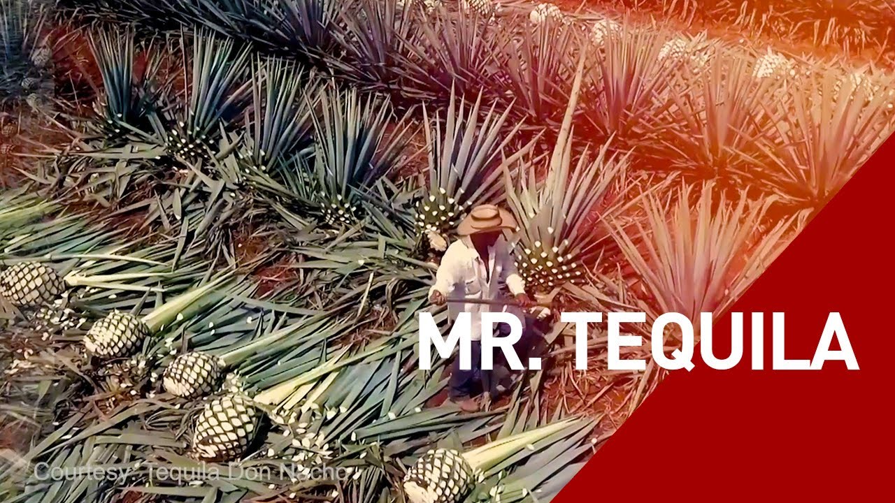 Mr. Tequila Gives Insight on the Tequila Business and Culture through