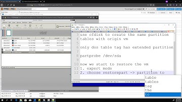 [proxmox] Shrink the vm disk size in complicated partition tables(2)