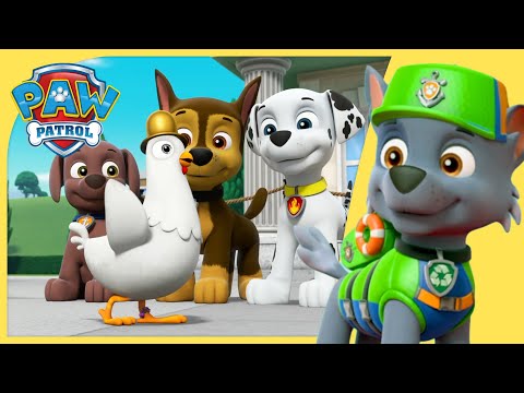 MIGHTY PUPS, SEA PATROL RESCUES AND MORE