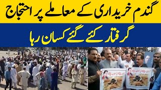 Protest Over Wheat Procurement issue | The Arrested Farmer Released | Dawn News
