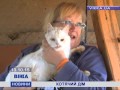 Download Черкаська родина створила котячий реабілітаційний центр Черкаська родина створила котячий реабілітаційний центр