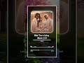Mai Tere Ishq Mein 2.0 🎧 | Danish Alfaaz, Bohemia &amp; Lata Mangeshkar | Music Visualizer Shorts ✨