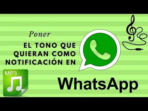 whatsapp:-cómo-asignar-tonos-personalizados-a-contactos-y-grupos