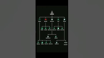 The Linux Family Tree: From the Kernel to the Most Popular Distributions #cybersecurity #shorts