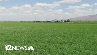 Arizona Senate Republicans withdraw from governor’s water policy council Az Farm Bureau And State Senator Quit Governor S Water Policy Council