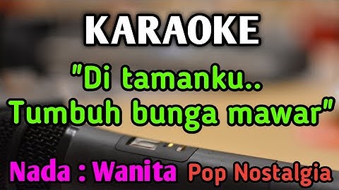 BUNGA MAWAR - KARAOKE || NADA WANITA CEWEK || Novia Kolopaking || Tetty Kadi || Live Keyboard
