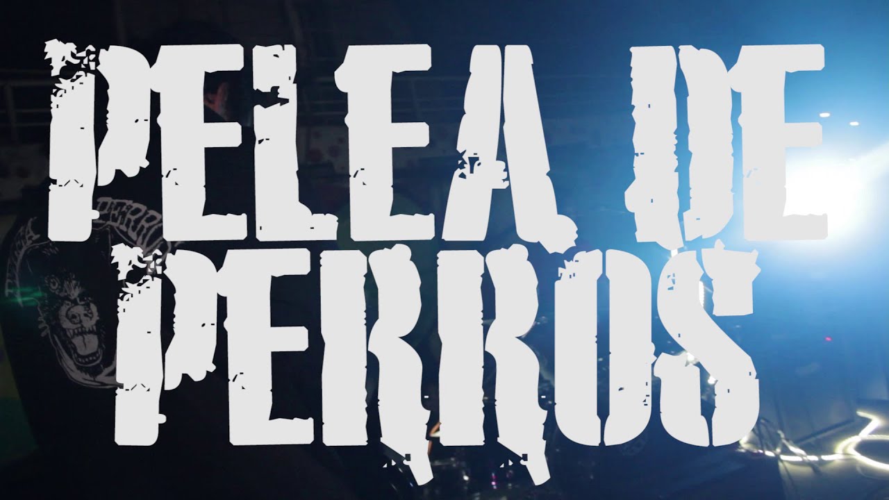 Mayo PunK 2019 - Pelea de Perros