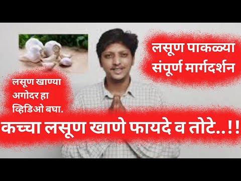 लसूण खाण्याचे फायदे व तोटे, लसूण खाण्याचे फायदे, benefits of eating garlic, lasun khanyache fayde.