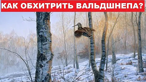 💥 КАК ОХОТИТЬСЯ НА ВАЛЬДШНЕПА?