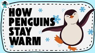 How Do Penguins Stay Warm | Kids Research Reading Passage Grade 3–5
